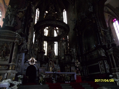 Katedra Świdnicka-10